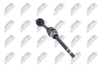 PLANETARA NTY NPWPE053 31