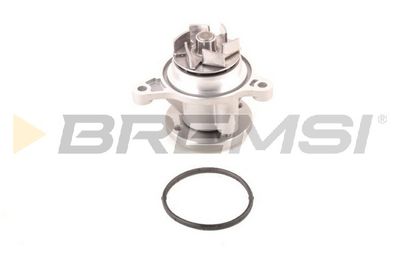 Водяной насос, охлаждение двигателя BREMSI WP0253 для KIA PICANTO