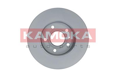 Brake Disc 1032088