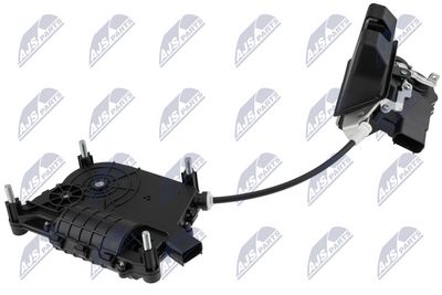 EZC-HY-613