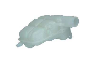 VAS DE EXPANSIUNE RACIRE