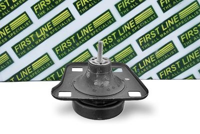 окачване, двигател FIRST LINE FEM4036
