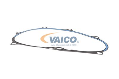 DICHTUNG STEUERGEHäUSE VAICO V105594 43