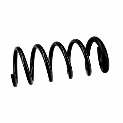 ARC SPIRAL EIBACH R10661 18