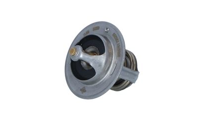 TERMOSTAT LICHID RACIRE NRF 725233 9