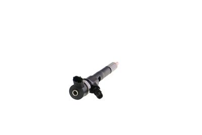 INJECTOR REMANTE 002003001665R 28