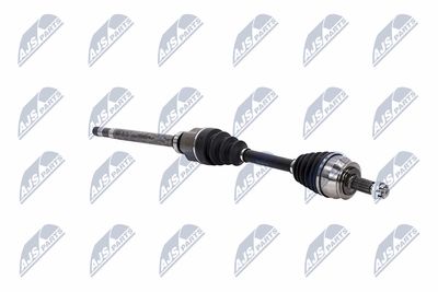 PLANETARA NTY NPWCT183 12