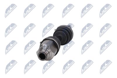 PLANETARA NTY NPWCH036 17