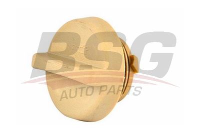 BSG BSG 65-700-199 Крышка масло заливной горловины  для OPEL SPEEDSTER (Опель Спеедстер)