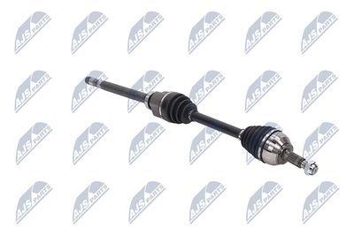 PLANETARA NTY NPWPE053 11