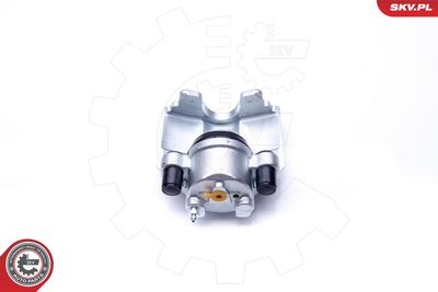 Brake Caliper 42SKV622