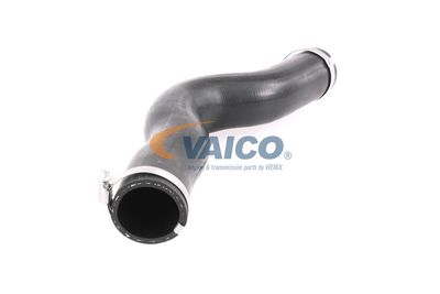 FURTUN EAR SUPRAALIMENTARE VAICO V401448 52