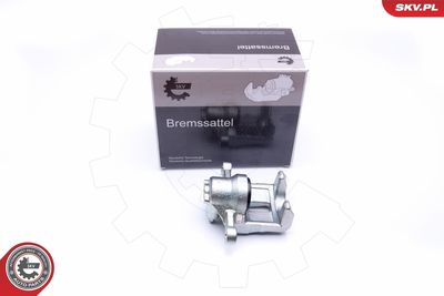 Brake Caliper 45SKV194