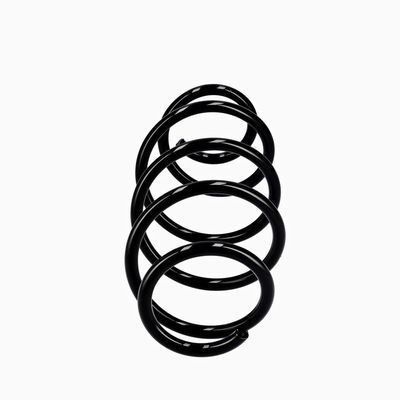 ARC SPIRAL EIBACH R10302 1
