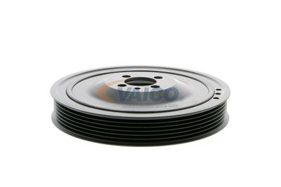 FULIE CUREA ARBORE COTIT VAICO V401481 41