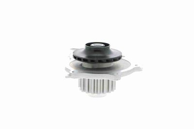 WASSERPUMPE MOTORKüHLUNG VAICO V2550006 4