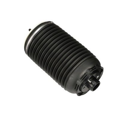 LUFTFEDER FAHRWERK Arnott A3295 67