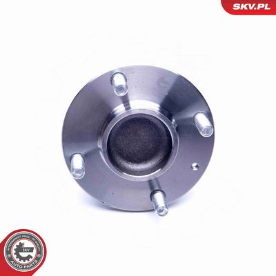 SET RULMENT ROATA ESEN SKV 29SKV259 3