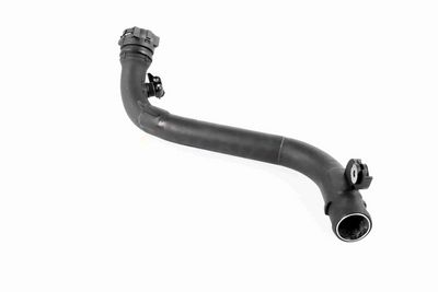 FURTUN EAR SUPRAALIMENTARE ACKOJA A380387 6