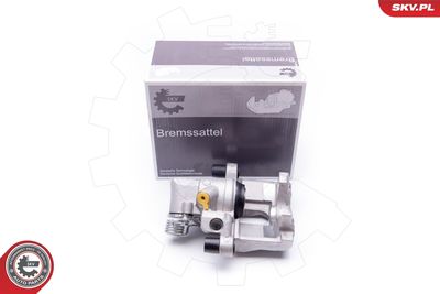 Brake Caliper 34SKV654