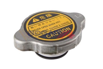 BUSON VAS EXPANSIUNE