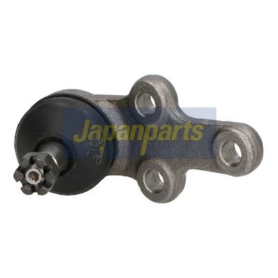 JAPANPARTS Šarnyras / girgždukas