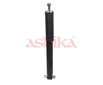 AMORTIZOR ASHIKA MA00545 2