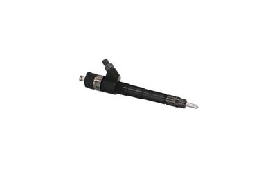 INJECTOR REMANTE 002003000037R 48