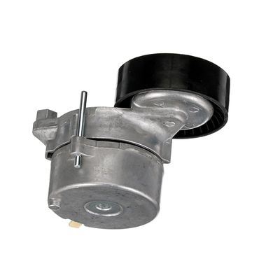 INTINZATOR CUREA CUREA DISTRIBUTIE GATES T38442 63