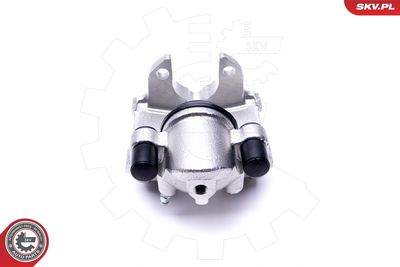 Brake Caliper 46SKV593