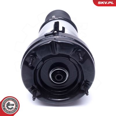 Pneumatinės spyruoklės statramstis