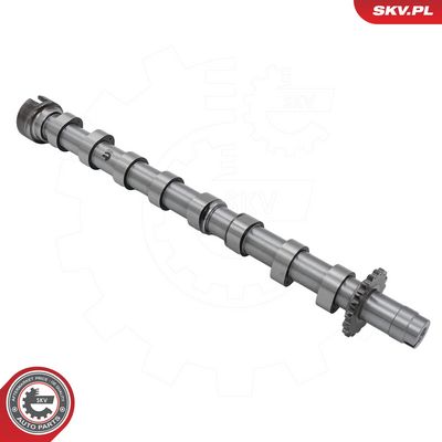 AX CU CAME ESEN SKV 80SKV009 1