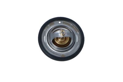 TERMOSTAT LICHID RACIRE NRF 725065 46