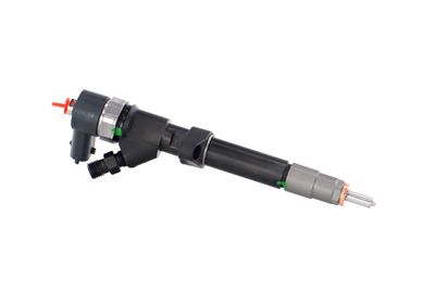 INJECTOR REMANTE 002003001027R 43