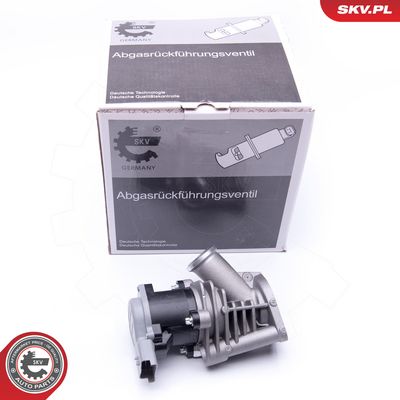 AGR - Ventil ESEN SKV 14SKV173