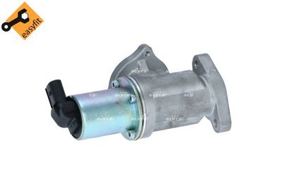 EGR Valve 48384