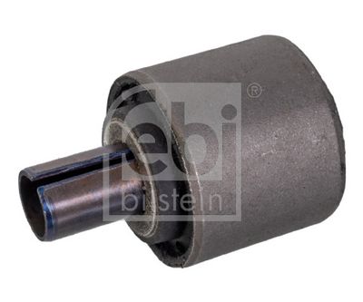 Mounting, control/trailing arm 11136