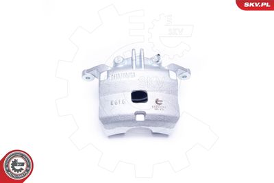 Brake Caliper 45SKV391