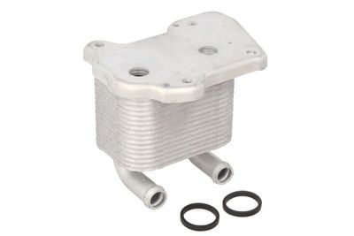 RADIATOR ULEI ULEI MOTOR THERMOTEC D4X006TT 1