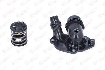 FLANSA LICHID RACIRE BIRTH 81103 7