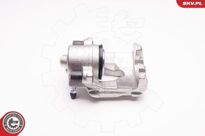 Brake Caliper 23SKV111