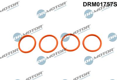 Sada těsnění, koleno sacího potrubí LIZARTE DRM01757S