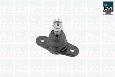 Шарнири FAI AutoParts FPBJ0193