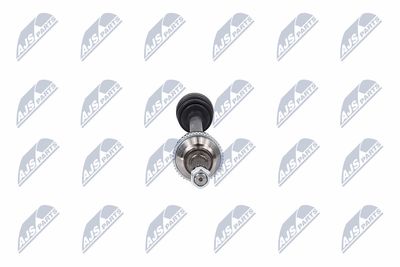 PLANETARA NTY NPWFR031 16