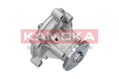 Water Pump, engine cooling T0182