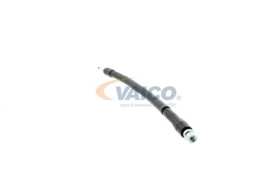 FURTUN FRANA VAICO V104223 20