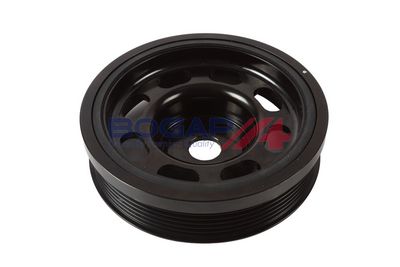 FULIE CUREA ARBORE COTIT BOGAP A1213142