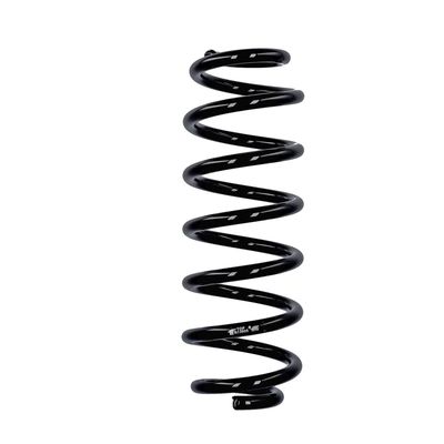 ARC SPIRAL EIBACH R13605 25