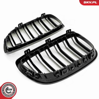 GRILA RADIATOR ESEN SKV 66SKV111 4