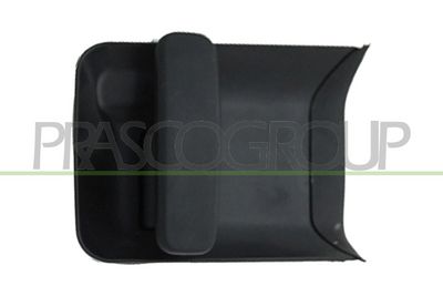 Дръжка външна врата PRASCO PG9048102
